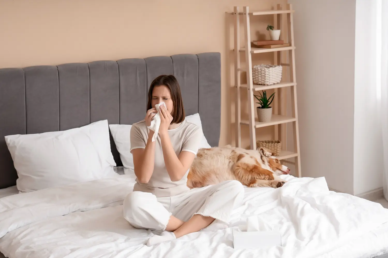 dryer vent cleaning near me